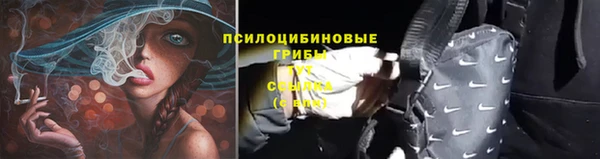 2c-b Переславль-Залесский